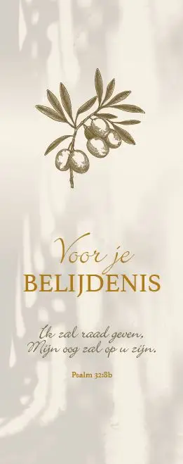 Boekenlegger Voor je Belijdenis