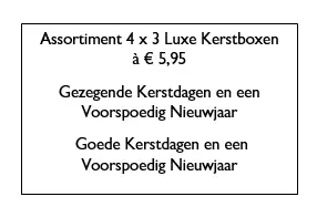 DISPLAY PANORAMA KERSTBOX 4X12