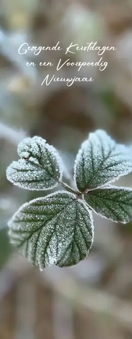 Boekenlegger Gez. K/N