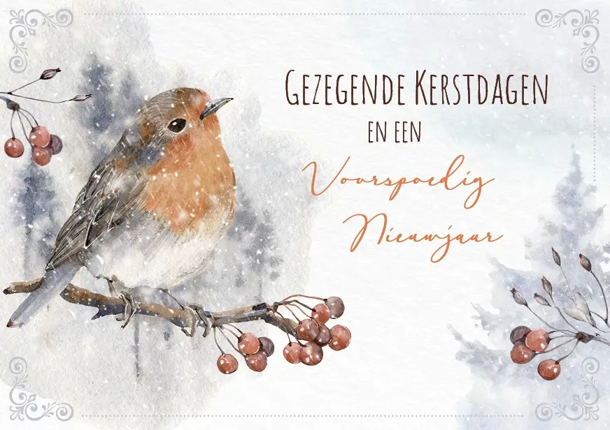 Map 5 Prentbriefkaarten Goede K/N