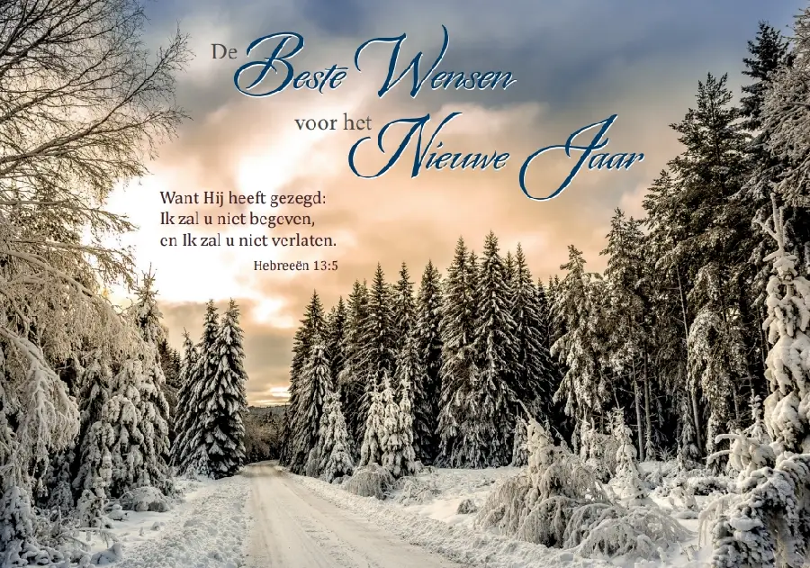 Map 5 Prentbriefkaarten Gez. K/N m/t