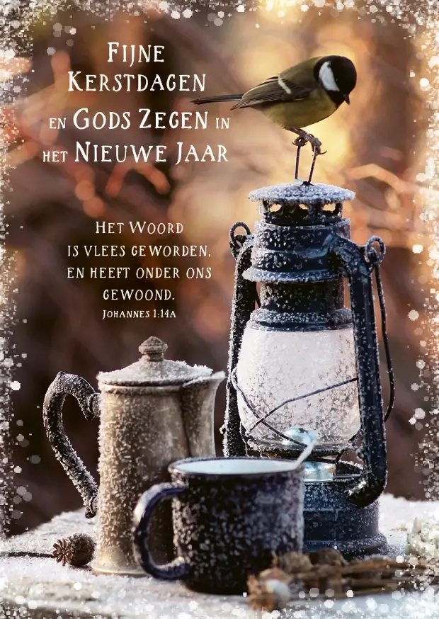 Map 5 Prentbriefkaarten Fijne K/N m/t