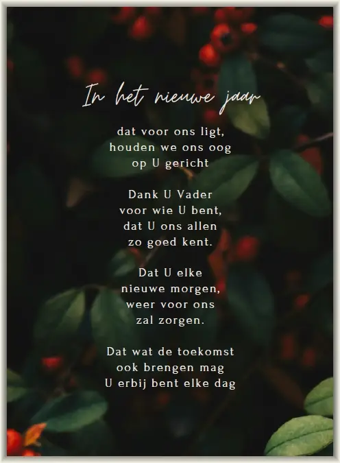 In het nieuwe jaar dat voor ons ligt