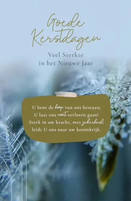 WENSKAART GOEDE KERSTDAGEN VEEL STERKTE