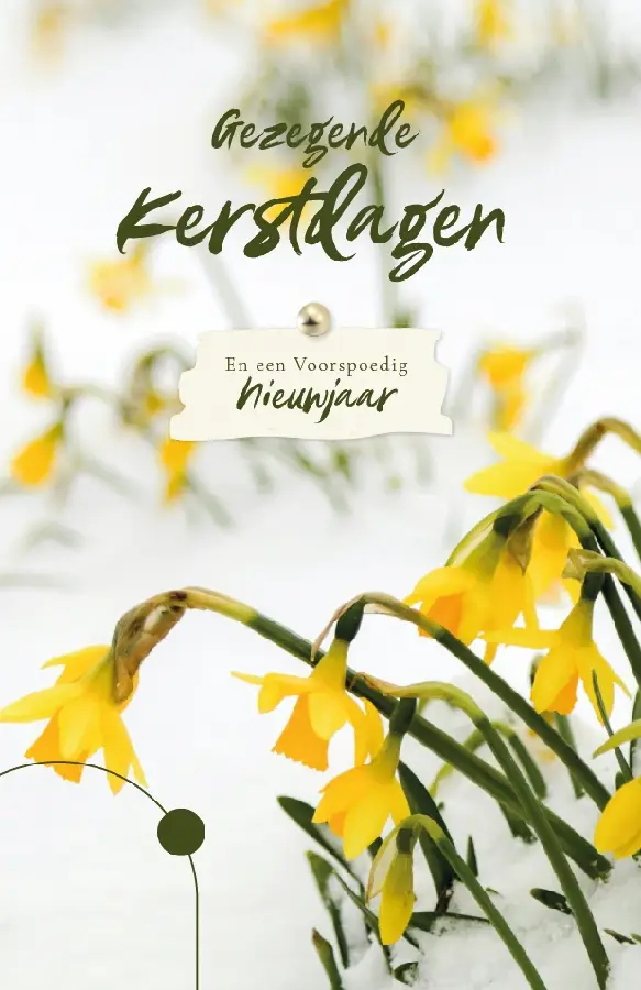 WENSKAART GOEDE K/N