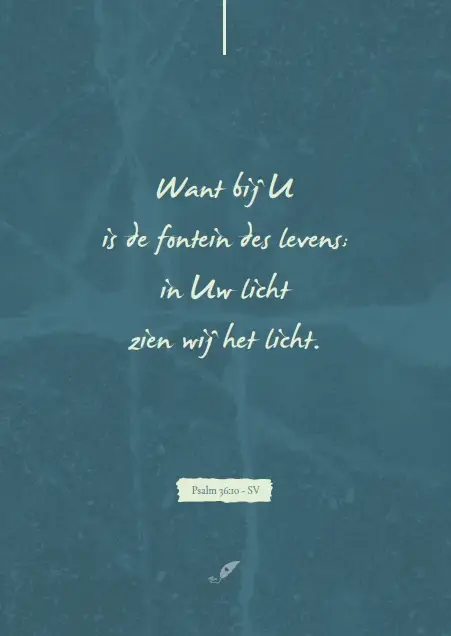 WENSKAART GOEDE KERSTDAGEN VEEL STERKTE