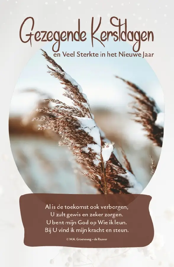 WENSKAART DE STER