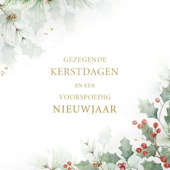 Kerstbox Gez. K/N