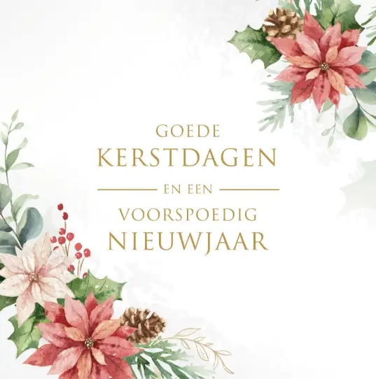 Kerstbox Goede K/N