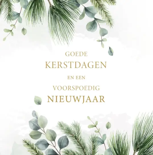 Kerstbox Goede K/N