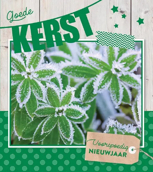 Kerstbox Goede K/N