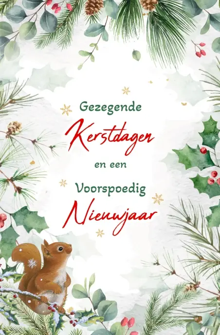 Kerstbox Gez. K/N Zwart/wit/goud