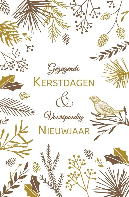 Kerstbox Gez. K/N Zwart/wit/goud