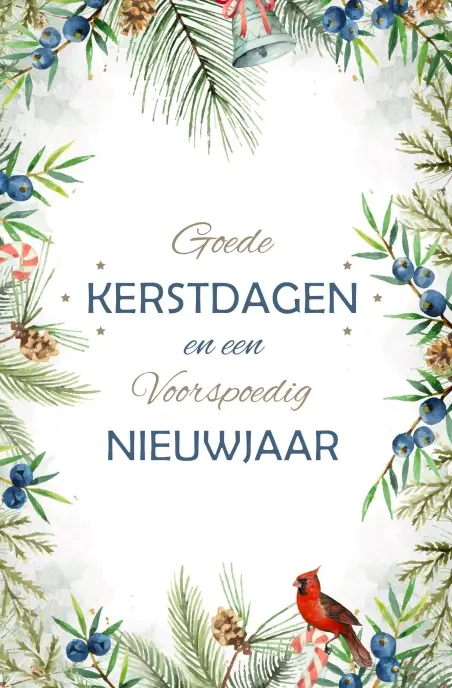 Kerstbox Goede K/N Takjes Groen