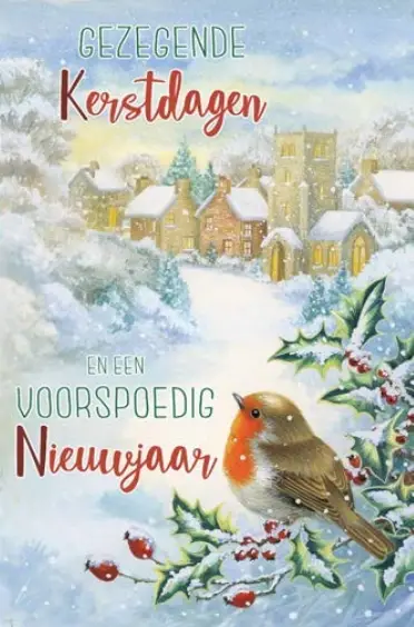 ASSORTIMENT KERSTBOXEN JBS 8X3