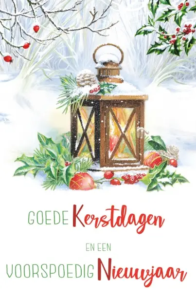 ASSORTIMENT KERSTBOXEN MVD 12X2