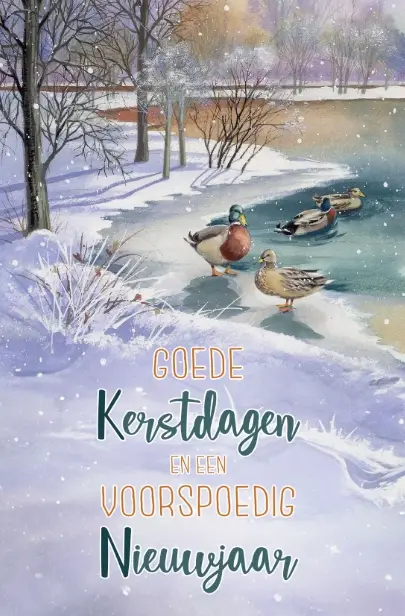 ASSORTIMENT KERSTBOXEN FRANCIENS 8X3