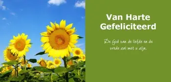 Panoramakaart met envelop
