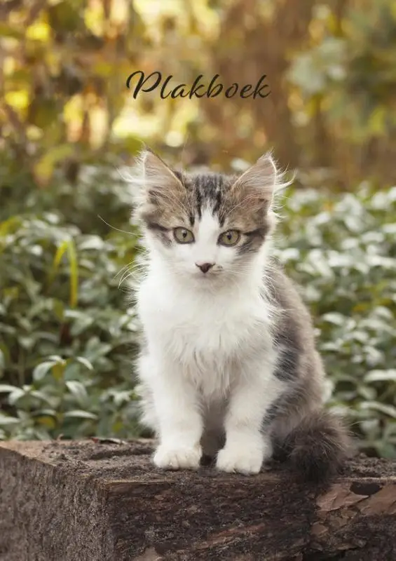 Plakboek moortje
