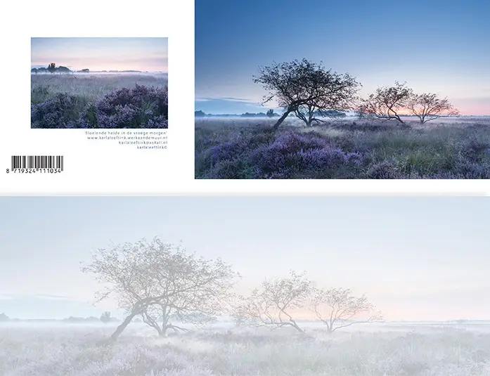 Panoramawenskaart zt bloeiende heide