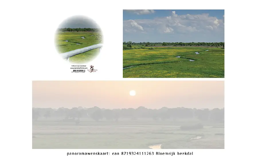 Panoramawenskaart zt make me smile