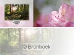 Panoramawenskaart zt rododendronbos