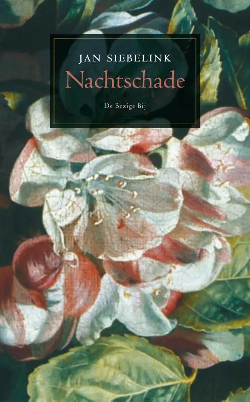 NACHTSCHADE / DRUK 6