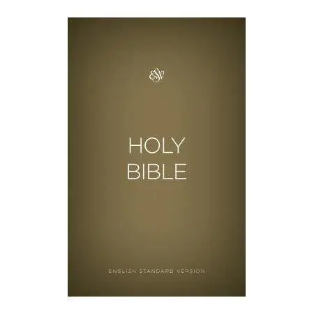 ESV outreach bible gold