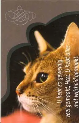 MINIKAART U HEBT ZO GEWELDIG VEEL
