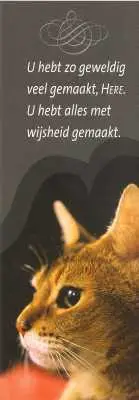 BOEKENLEGGER U HEBT ZO GEWELDIG VEEL