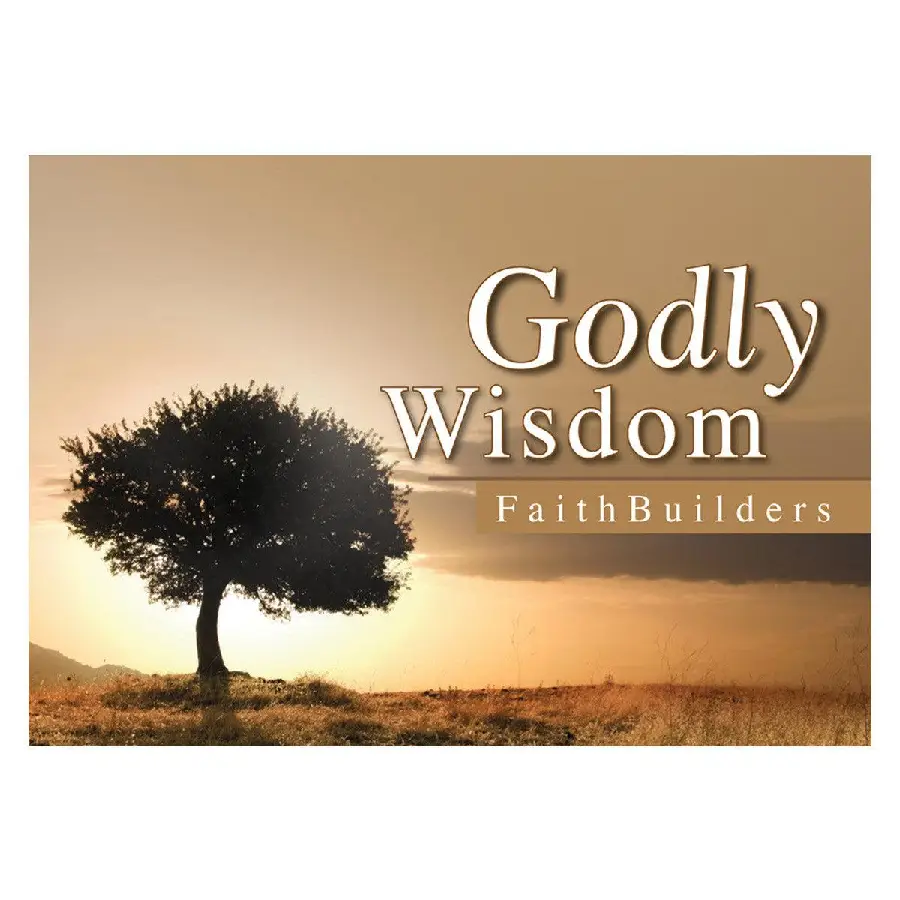 Godly Wisdom - 5 x 4 designs