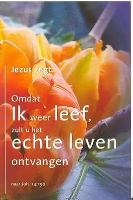 MINIKAART JOH 14:19B