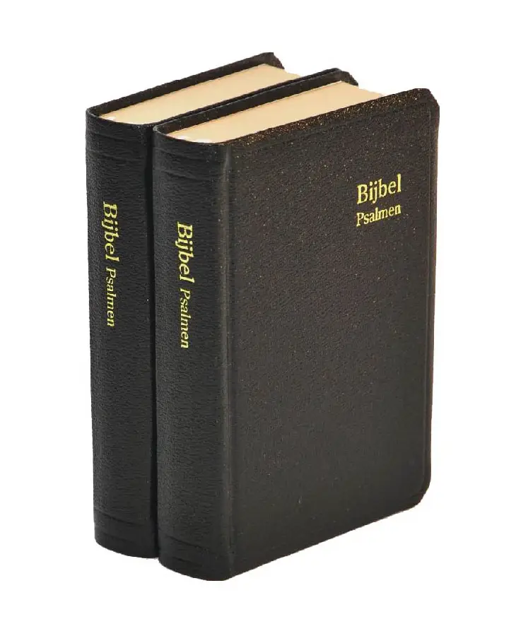 HERENZAKBIJBEL H31D KUNSTLEER KLEURSNEE