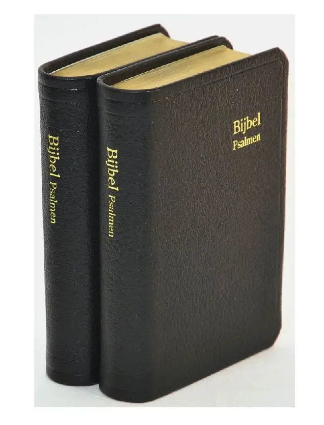 DAMESZAKBIJBEL D32R RITMISCH LEER GOUDSN