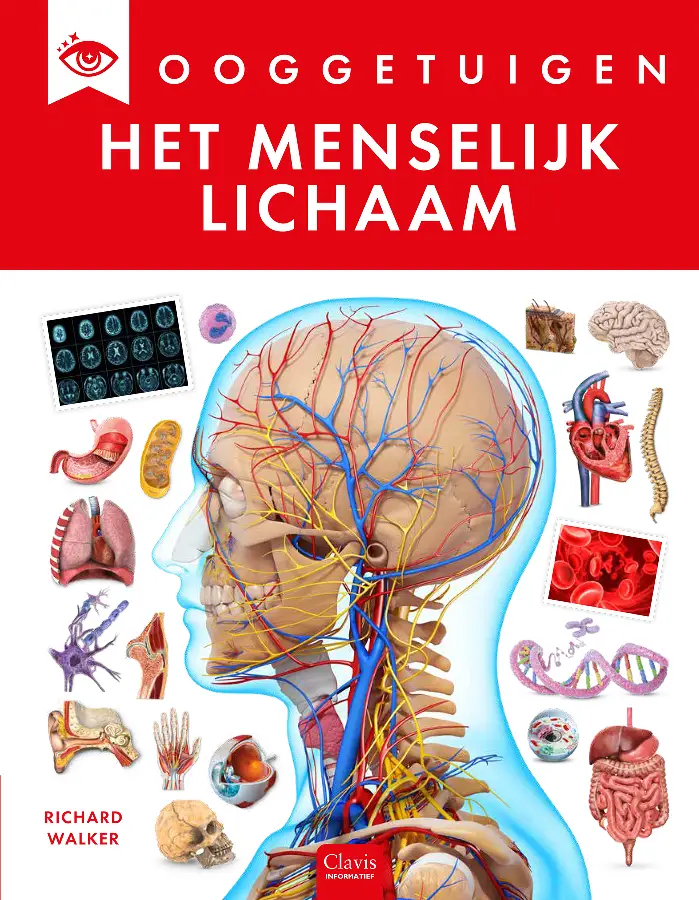 Menselijk lichaam