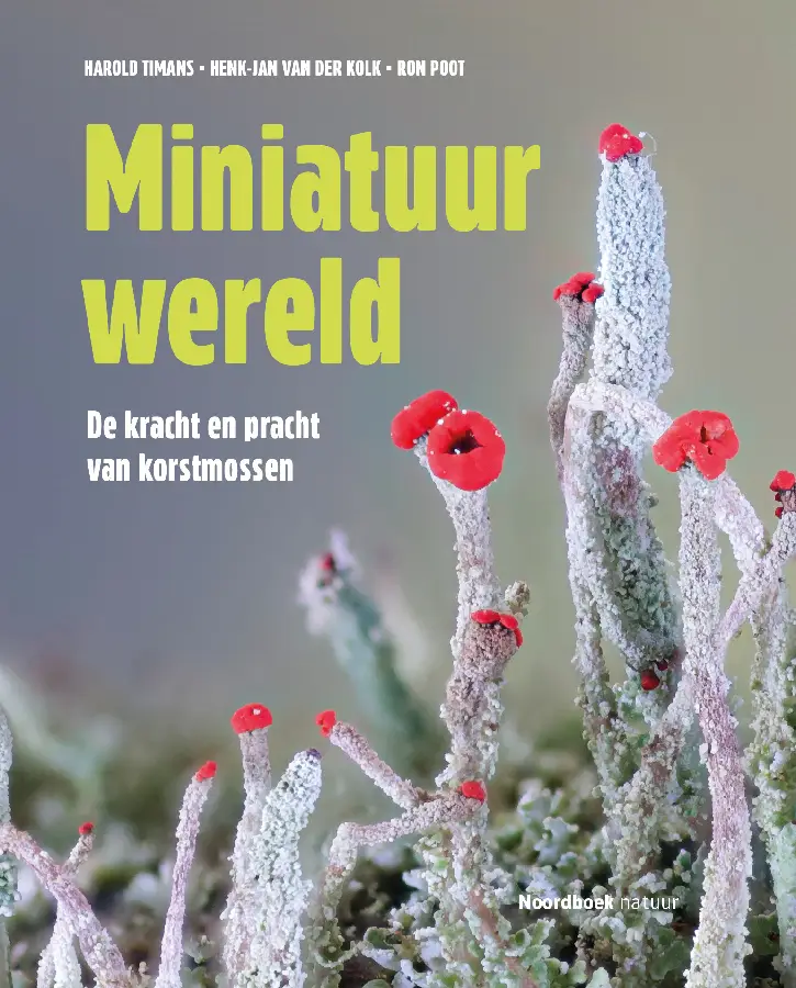 MINIATUURWERELD