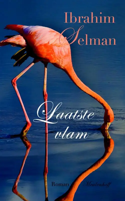 LAATSTE VLAM
