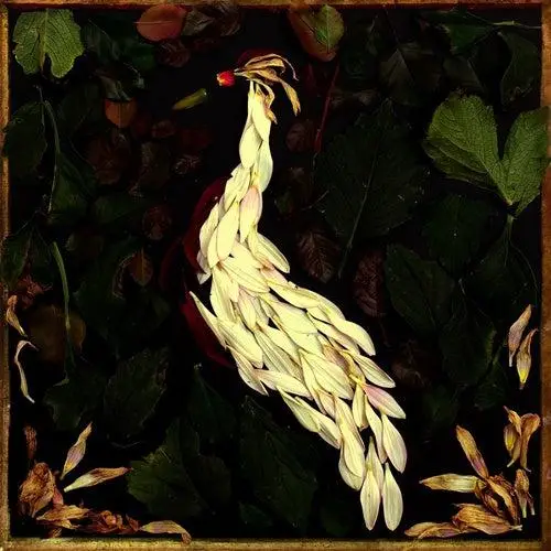 FORTUNATE FALL (CD)
