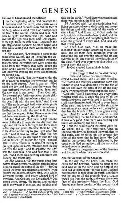 NRSV - PEW BIBLE