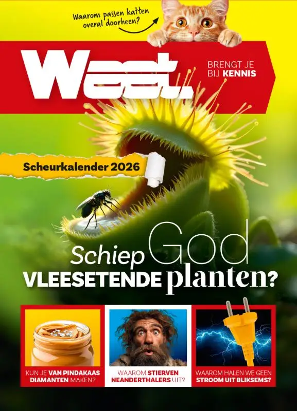 Weet scheurkalender 2026