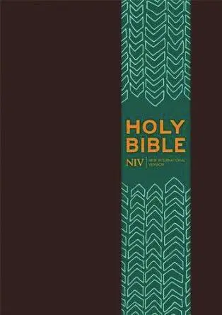 NIV pocket bible with clasp brown soft t