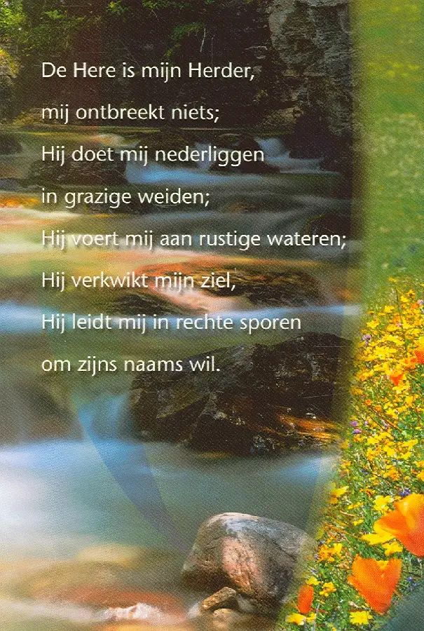 WK OPW DE HERE IS MYN HERDER 6 ST