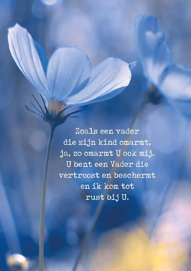 WENSKAART ZOALS EEN VADER DIE ZIJN KIND