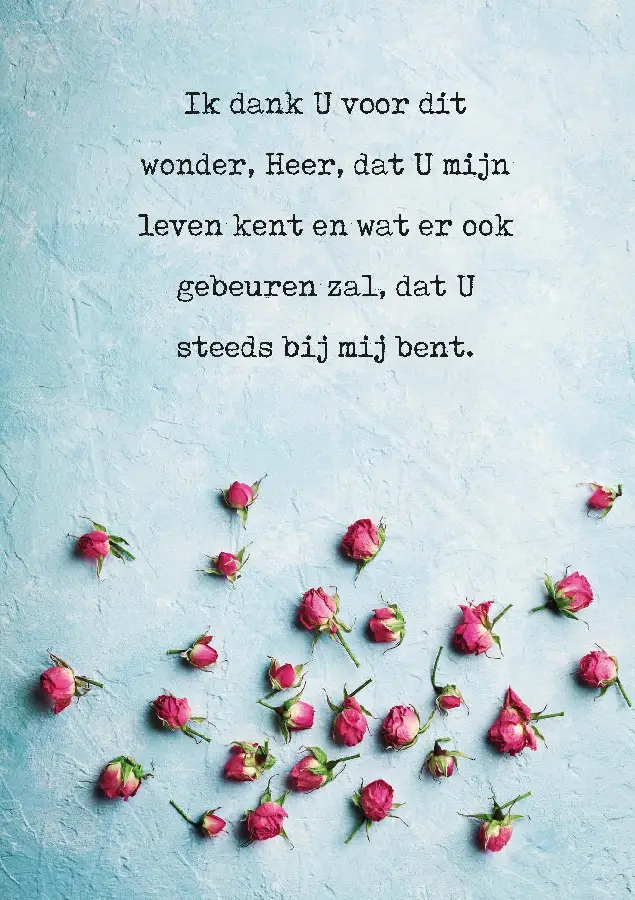 WENSKAART IK DANK U VOOR DIT WONDER HEER