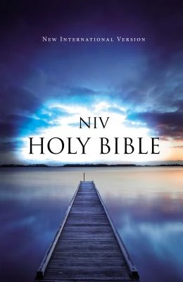 NIV outreach bible