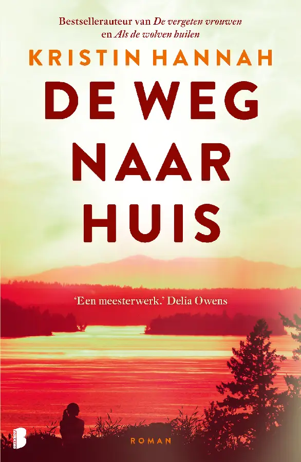 De weg naar huis