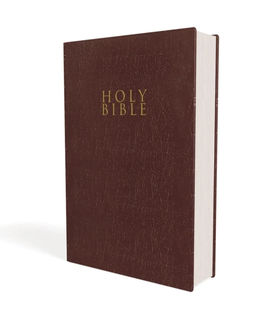 NIV gift & award bible burgundy