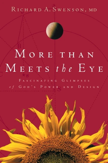 MORE THAN MEETS THE EYE