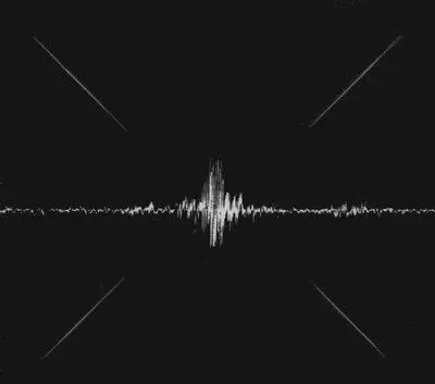 WE WILL NOT BE SHAKEN