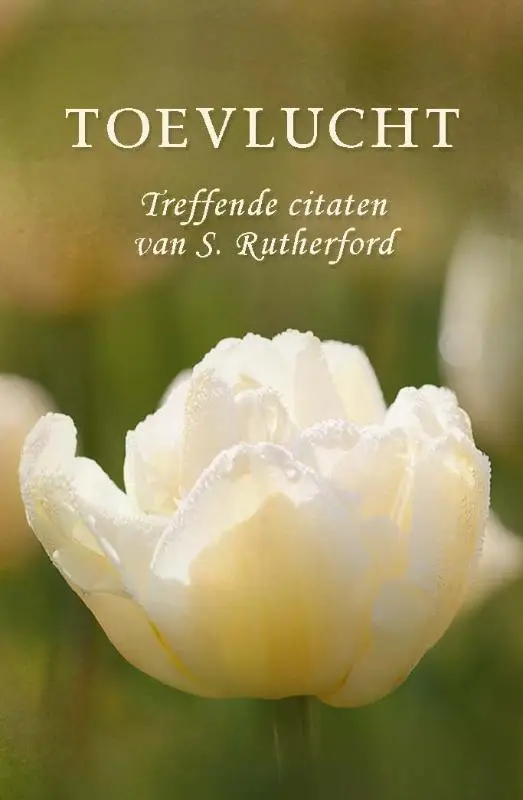 TOEVLUCHT